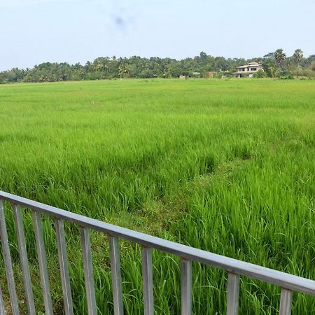 Meegahapokuna Resort อนุราธปุระ ภายนอก รูปภาพ