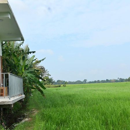 Meegahapokuna Resort อนุราธปุระ ภายนอก รูปภาพ