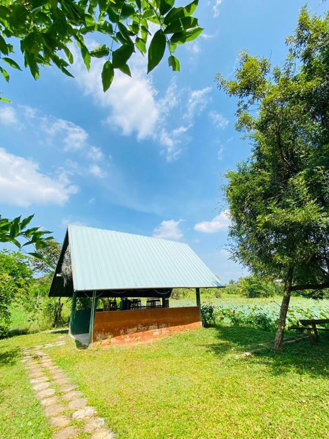 Meegahapokuna Resort อนุราธปุระ ภายนอก รูปภาพ