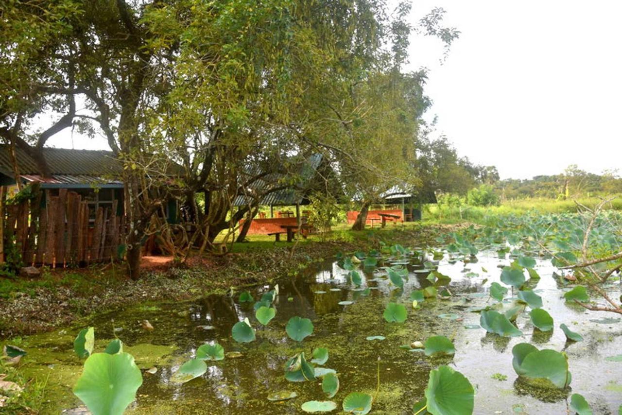 Meegahapokuna Resort อนุราธปุระ ภายนอก รูปภาพ
