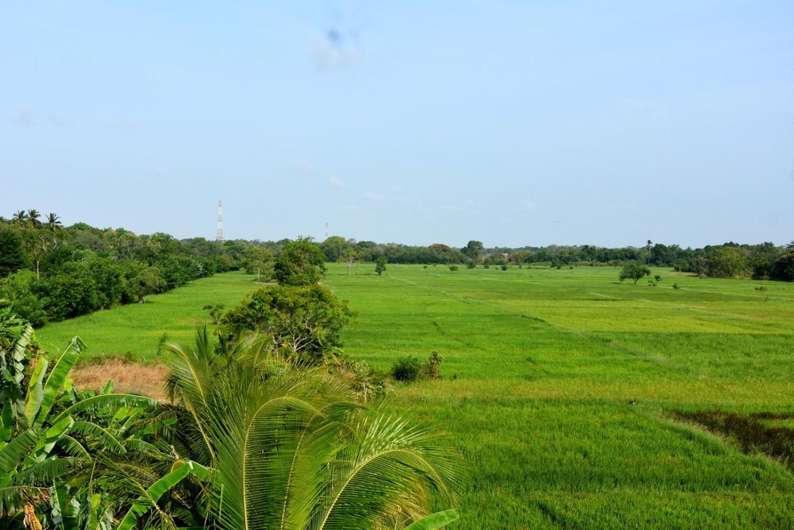 Meegahapokuna Resort อนุราธปุระ ภายนอก รูปภาพ