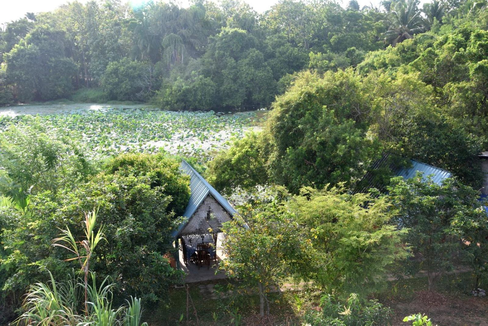 Meegahapokuna Resort อนุราธปุระ ภายนอก รูปภาพ